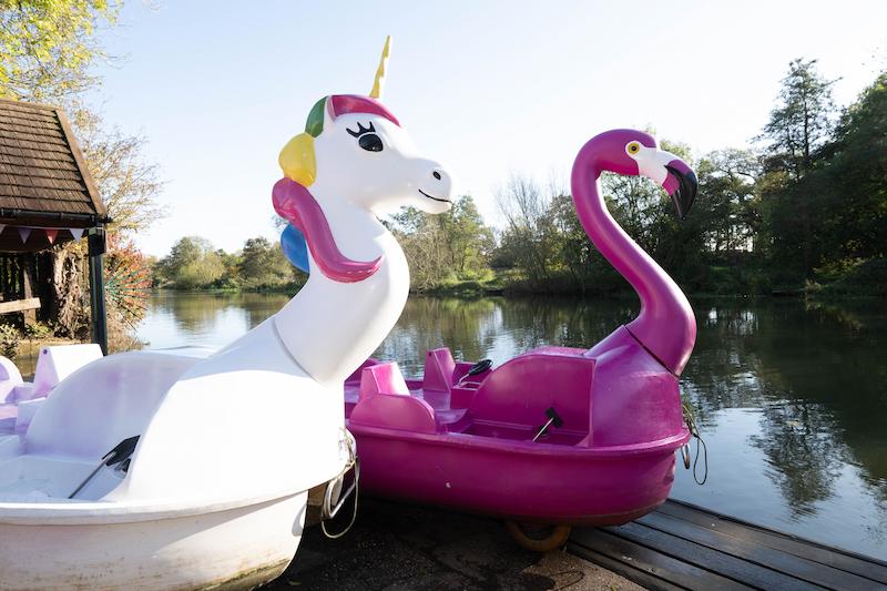 Two pedalos, one that looks like a white unicorn and another a pink flamingo on the river in Warwick