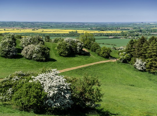 Burton dassett country park