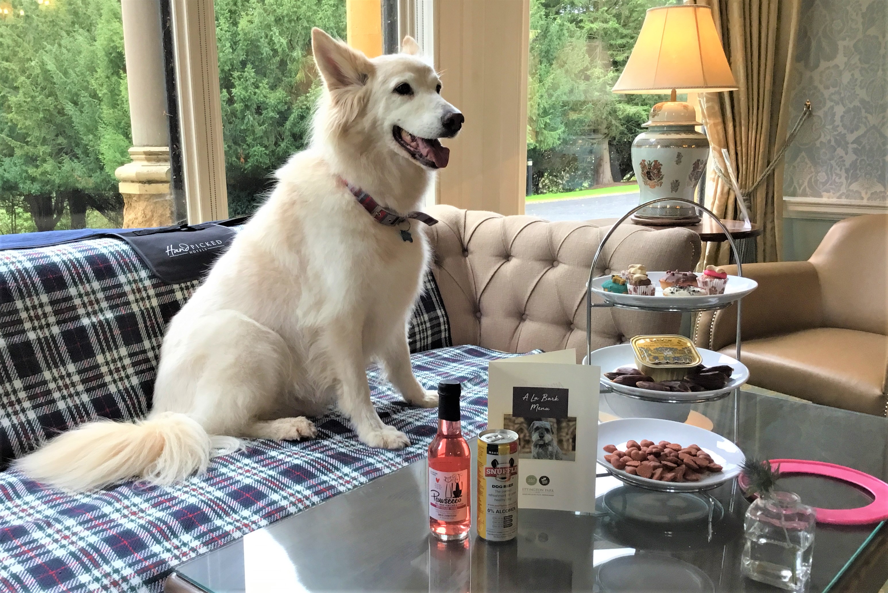 Ettington Park Hotel - dog at table enjoying the finer things