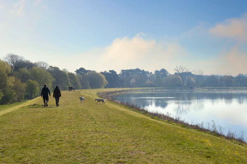 Dog walkers at Shustoke Resvoir