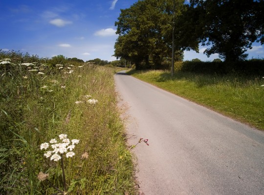 Warwickshire countryside