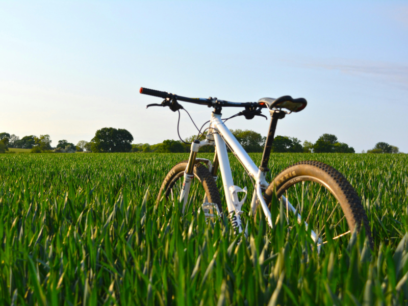 Bicycle in a field